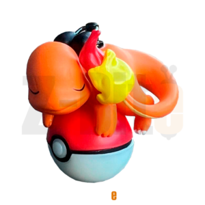 CHARMANDER SLEEP